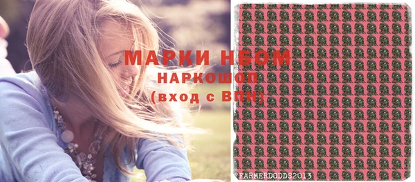 стаф Баксан