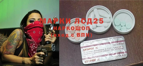 стаф Баксан
