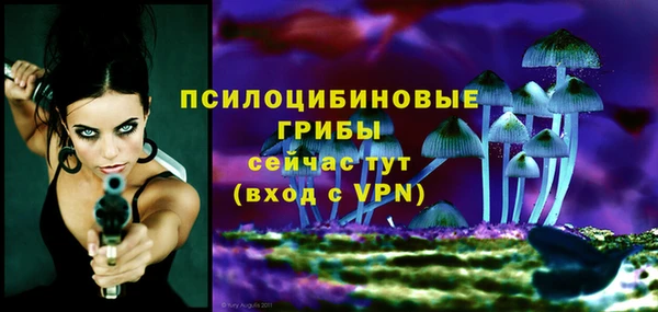 стаф Баксан